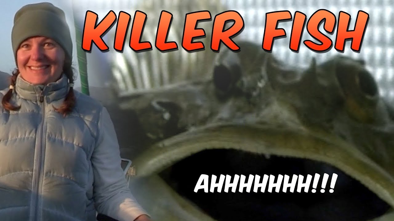 Killer Fish | #28 | DrakeParagon Sailing Season 5