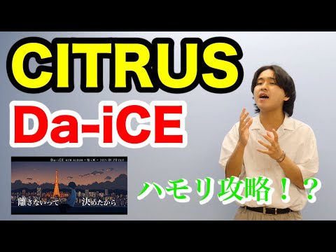 “高すぎてヤバイ!!!” Da-iCEの【CITRUS】一人でハモってみた!!!『ハモり攻略』