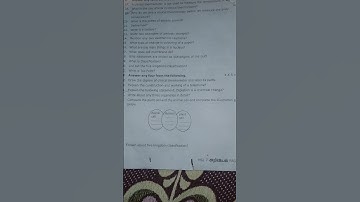 Original question paper 7th standard second term science 2023