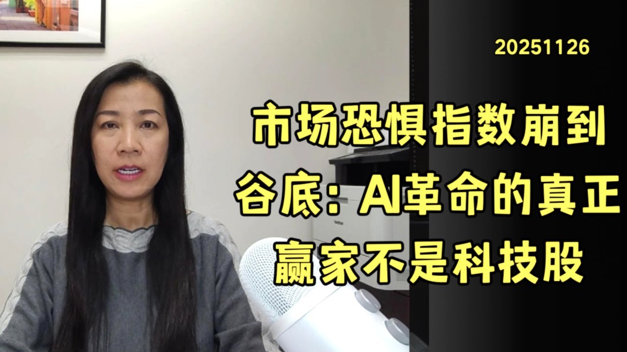 市场恐惧指数崩到谷底：AI革命的真正赢家不是科技股[20251126] - YouTube