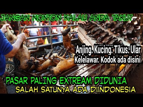 What Harga Manggis Di Jakarta
