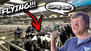 WHAT A DAY!!.. YOUNG FARMER SMASHES IT AT MARKET!!!