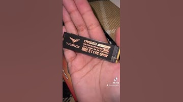 All smiles with the power of T-Force!