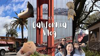 11 days in the bay area 🦭 san francisco, napa valley, stanford, uc berkeley, san jose