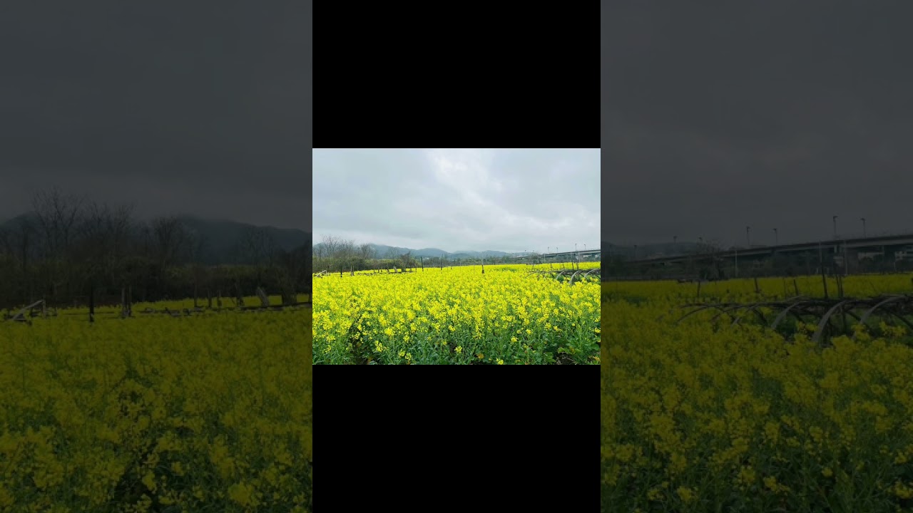 Child If you don t endure the hardship of studying now you will surely suffer twice as muc