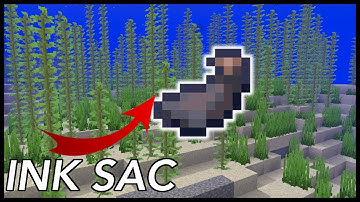 What Is The Use Of INK SACS In Minecraft