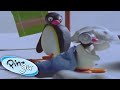 Pinga goes Sleep Walking! 😴 | Pingu Official | Cartoons for Kids