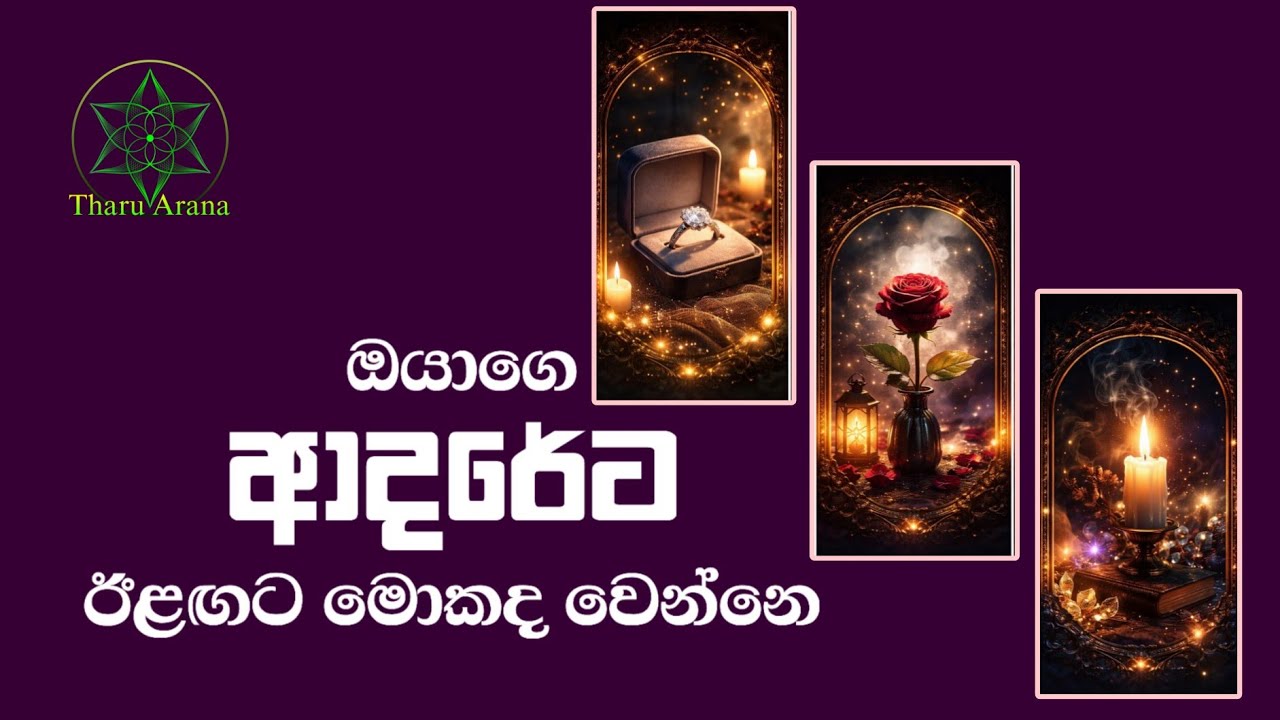 ඔයාගෙ ආදරයට ඊළඟට සිද්ධ වෙන්නේ මොකක්ද?