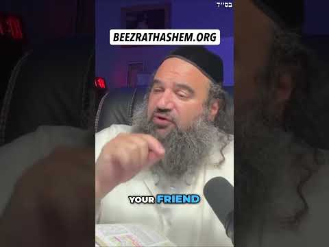 Wiedergeboren als Pferd