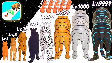 Cat Evolution Run - Level Up Cats Max Level Gameplay Android,iOS (Insect Evolution Run)