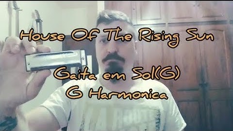 🎶 House Of The Rising Sun (Harmonica Tab - na Gaita com Tablatura)