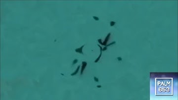 Preview 2 V5645747 Center Effects