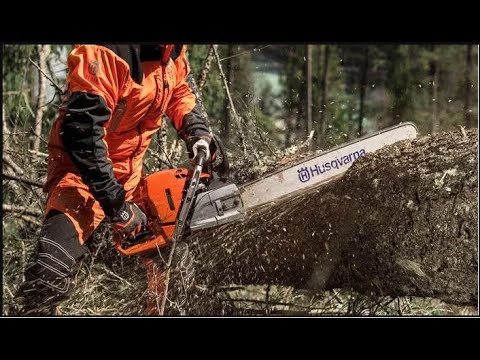 Extreme Dangerous Huge Trees Cutting Down With Chainsaw Machines - YouTube