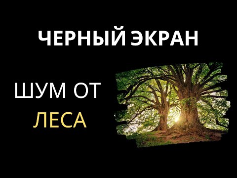 Шум От Леса | Черный Экран 10 Часов Для Сна