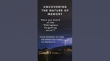 Cracking the Code of Memory: Demystifying the Ebbinghaus Forgetting Curve