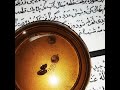 مهره مار وفرج کفتار کاملن اصلی لوح و کتابهای قدیمی جادو طلسم جنبل مهره مار وفرج کفتار کاملن اصلی لوح و کتابهای قدیمی جادو طلسم جنبل