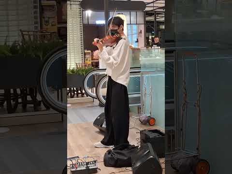2024/5/12 #失望值滿   #盧盧快閉嘴 #linfranz #林世豐 #violinist #小提琴演奏家