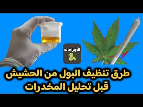 لو عندك بكره تحليل وانت متعاطي حشيش تعمل اي اسرع طرق لتنظيف البول من الحشيش قبل تحليل المخدرات