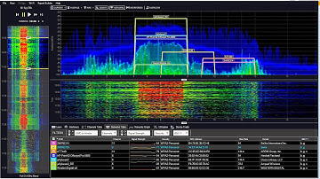 T Network Analysis Results