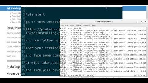 installing Pinta in ubuntu