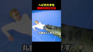 ヘビが大きな獲物を飲む方法