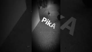Moja Pikica