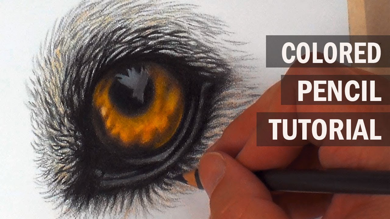 Castle Art Colored Pencil Review And Downloadable Color