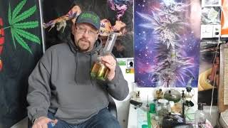 Purple punch  THC%31.01  Strain review
