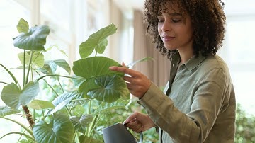 Introducing the New Agilent Infinity III LC Series