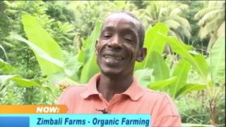 Zimbali Farms | Organic Farming - Smile Jamaica - April 25 2017