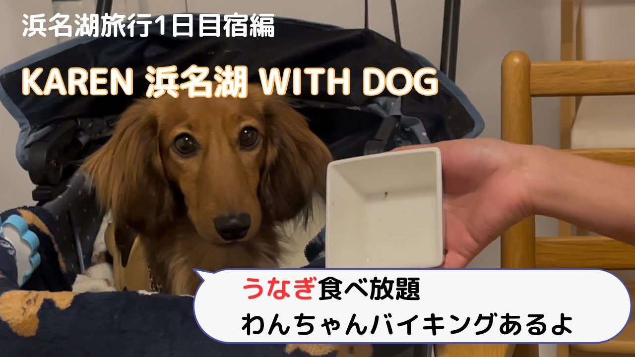 【犬連れ旅行】KAREN浜名湖withDog 202501