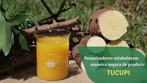 Como tirar o veneno do tucupi?