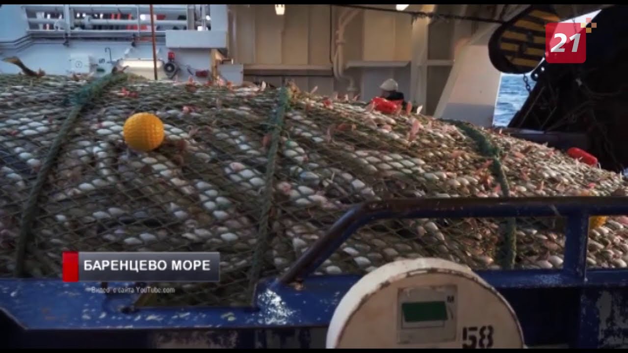 Работа в мурманске море на мкап. Работа в мурманске море на мкап
