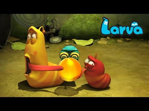 Larva Terbaru New Season  | Episodes Ham | Psychic | Fly   | Larva 2018 Full Movie