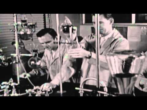 Rheingold   Dreiklangsdimensionen HD Extended Video Remix Boa) (HD)