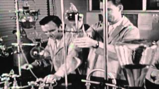 Rheingold   Dreiklangsdimensionen Hd Extended  Remix Boa hd