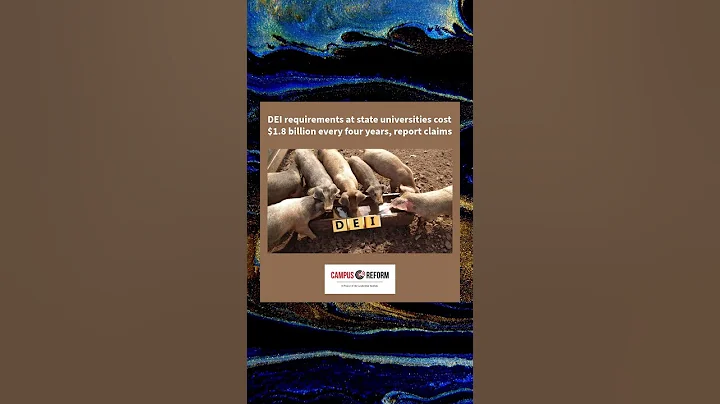 DEI requirements at state universities cost $1.8 billion every four years, report claims