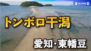 無人島への“幻の道”現れるのは…　愛知・東幡豆のトンボロ干潟