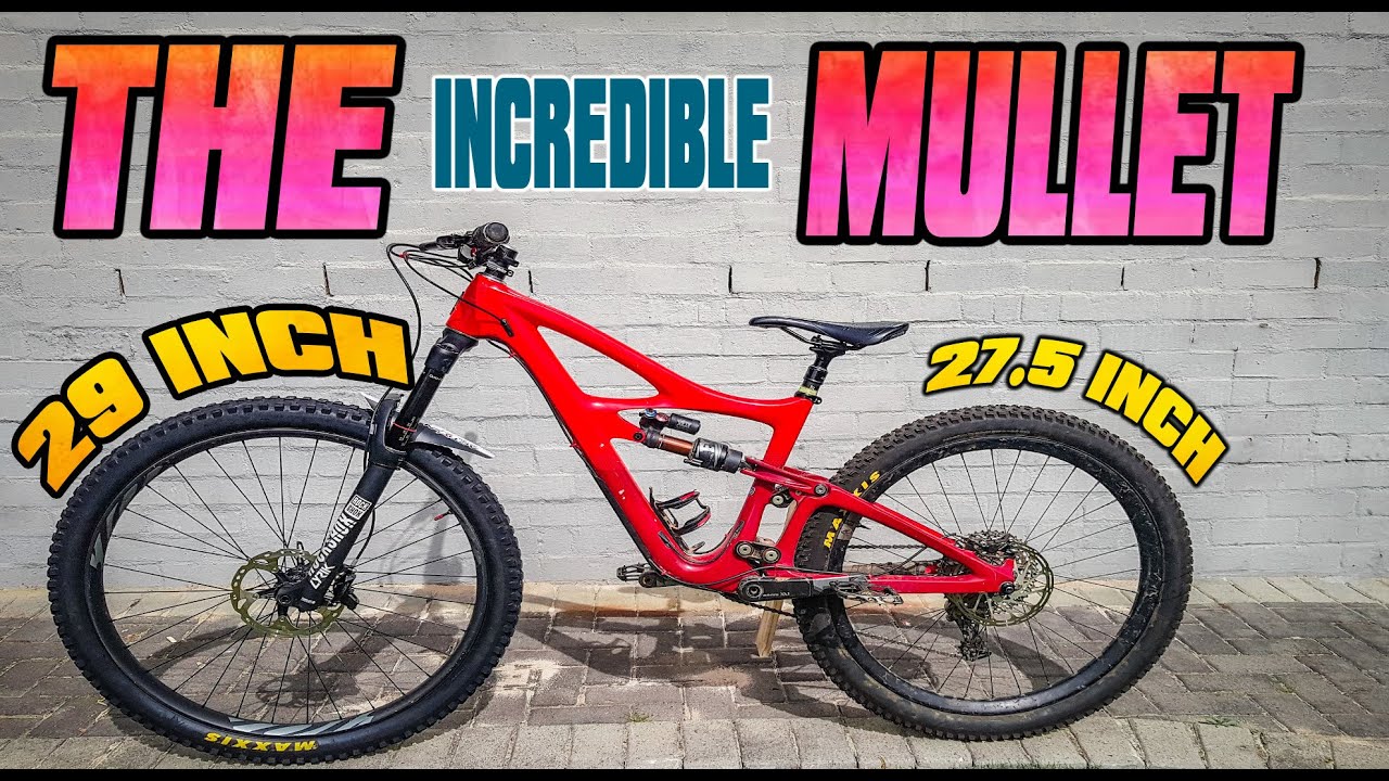 mountain bike mullet