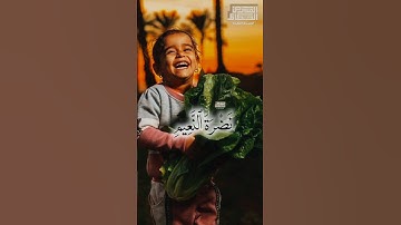 تَعۡرِفُ فِی وُجُوهِهِمۡ نَضۡرَةَ ٱلنَّعِیمِ🥺 الشيخ محمود الشحات أنور  #تلاوه_خاشعه #foryou