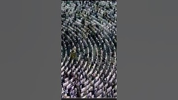 سورة القلم الشيخ سعود الشريم