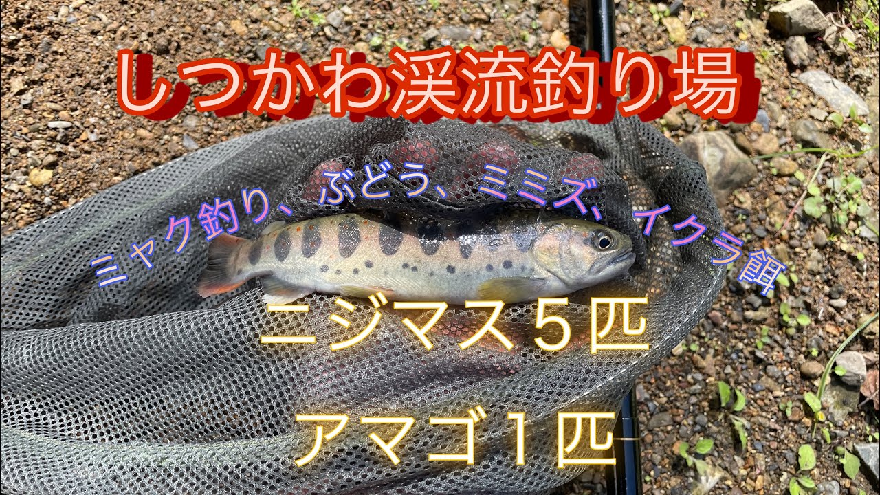 し つかわ 渓流 釣り場