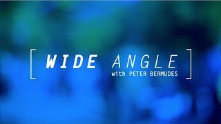 Wide Angle: Episode 37 - The Patterning Instinct: A Fresh Look at Evolution