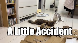 A little accident