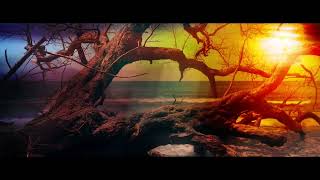 Christophe MARGUET - ISLAND (Composed by C.Marguet)