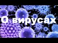 О вирусах