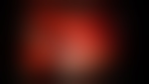 Robotic Partial Nephrectomy / Da Vinci