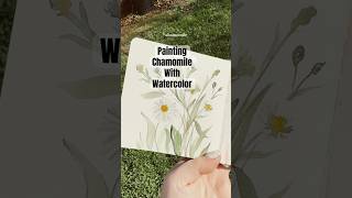 Watercolor Chamomile 🌼 #watercolorpainting #wildflowers #chamomile #watercolorflorals #looseflorals