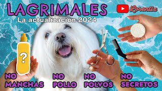 👁️🐾Lagrimal sucio del perro, manchas, legaña, tumores, alergias, picazon, polvos🪄 I LORENTIX by Lorentix Channel 546 views 2 weeks ago 4 minutes, 20 seconds