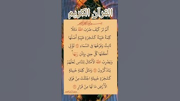 #سورة_إبراهيم #صلاح_بوخاطر #القرآن_الكريم #اكسبلور #المصحف #quran #دويتو #راحة_نفسية #حالات_واتس